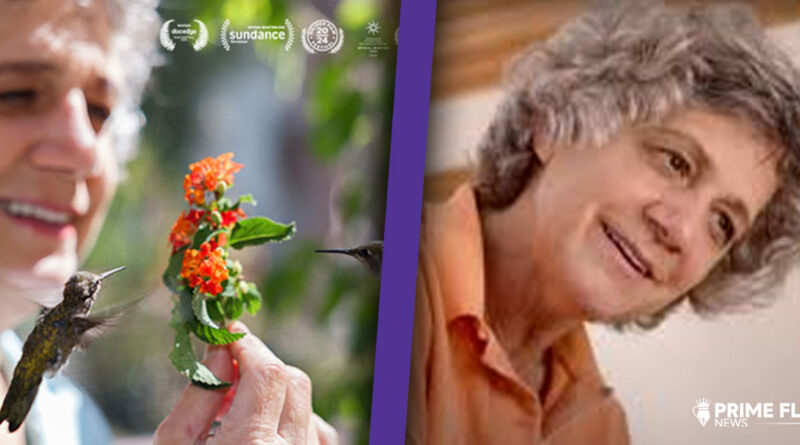 Terry Masear, wildlife rehabilitator and founder of Los Angeles Hummingbird Rescue, carefully caring for an injured hummingbird in her sanctuary.